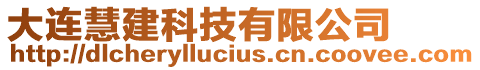 大連慧建科技有限公司