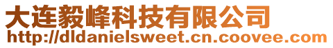 大連毅峰科技有限公司