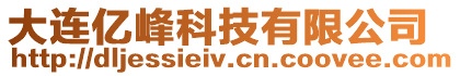 大連億峰科技有限公司