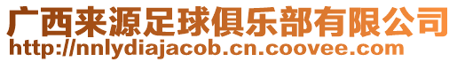 廣西來源足球俱樂部有限公司