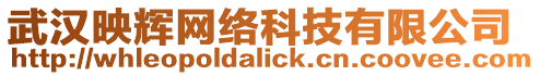武漢映輝網(wǎng)絡(luò)科技有限公司