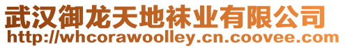 武漢御龍天地襪業有限公司