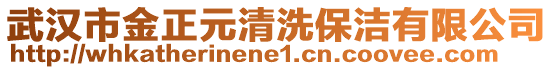 武漢市金正元清洗保潔有限公司