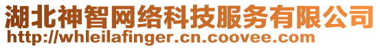 湖北神智網絡科技服務有限公司