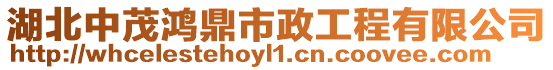 湖北中茂鴻鼎市政工程有限公司