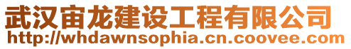 武漢宙龍建設(shè)工程有限公司