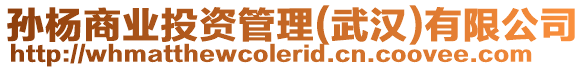孫楊商業投資管理(武漢)有限公司