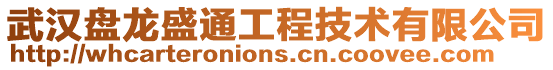 武漢盤龍盛通工程技術有限公司