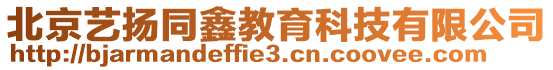 北京藝揚同鑫教育科技有限公司