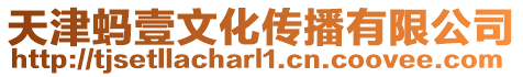 天津螞壹文化傳播有限公司