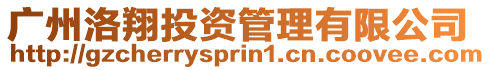 廣州洛翔投資管理有限公司