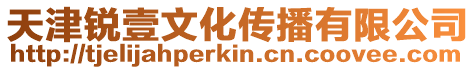 天津銳壹文化傳播有限公司