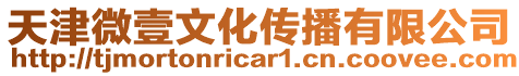 天津微壹文化傳播有限公司