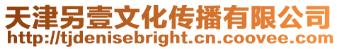 天津另壹文化傳播有限公司