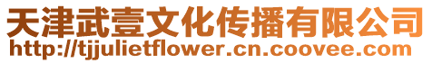 天津武壹文化傳播有限公司
