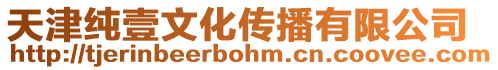 天津純壹文化傳播有限公司