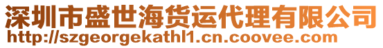 深圳市盛世海貨運代理有限公司