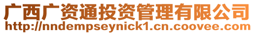 廣西廣資通投資管理有限公司