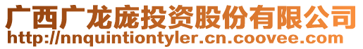廣西廣龍龐投資股份有限公司