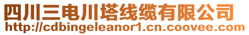 四川三電川塔線纜有限公司