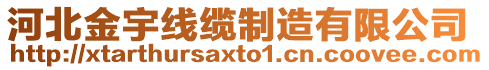 河北金宇線纜制造有限公司