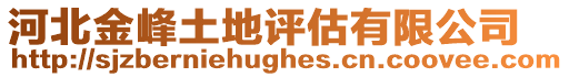 河北金峰土地評估有限公司