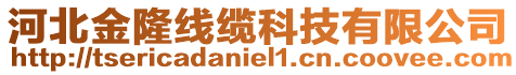 河北金隆線纜科技有限公司