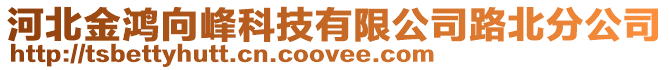 河北金鴻向峰科技有限公司路北分公司