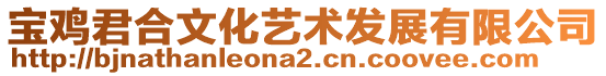 寶雞君合文化藝術發展有限公司