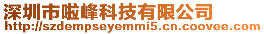 深圳市啦峰科技有限公司