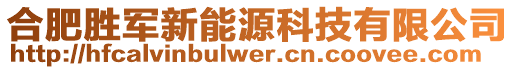 合肥勝軍新能源科技有限公司