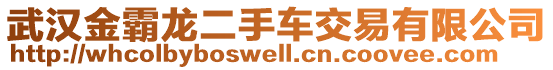 武漢金霸龍二手車交易有限公司