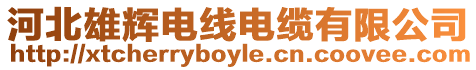 河北雄輝電線(xiàn)電纜有限公司