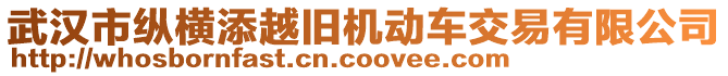 武漢市縱橫添越舊機動車交易有限公司