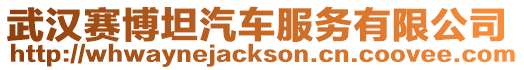 武漢賽博坦汽車服務有限公司