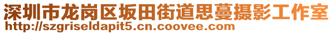 深圳市龍崗區(qū)坂田街道思蔓攝影工作室