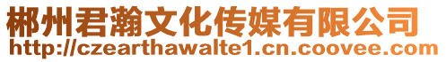 郴州君瀚文化傳媒有限公司