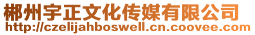 郴州宇正文化傳媒有限公司