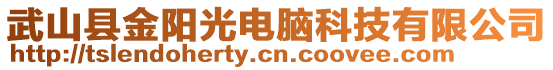 武山縣金陽光電腦科技有限公司