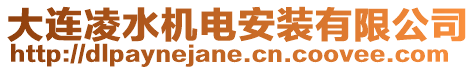 大連凌水機電安裝有限公司