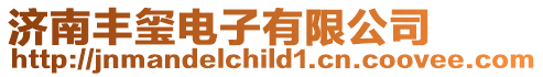 濟南豐璽電子有限公司