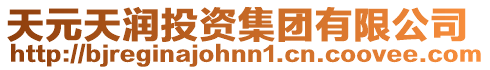 天元天潤投資集團有限公司