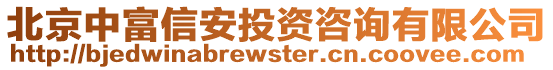 北京中富信安投資咨詢有限公司