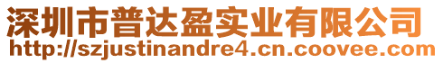 深圳市普達盈實業(yè)有限公司