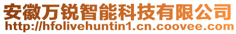 安徽萬銳智能科技有限公司