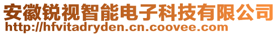 安徽銳視智能電子科技有限公司