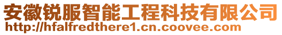 安徽銳服智能工程科技有限公司