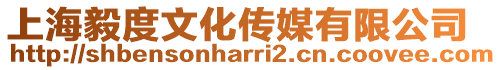 上海毅度文化傳媒有限公司