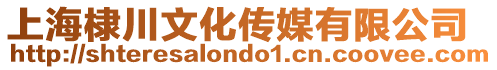 上海棣川文化傳媒有限公司