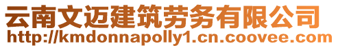云南文邁建筑勞務有限公司